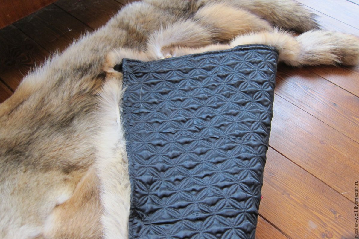 Медвежья шкура в интерьере