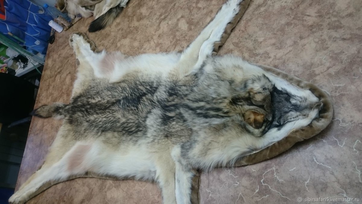 Шкура в интерьере