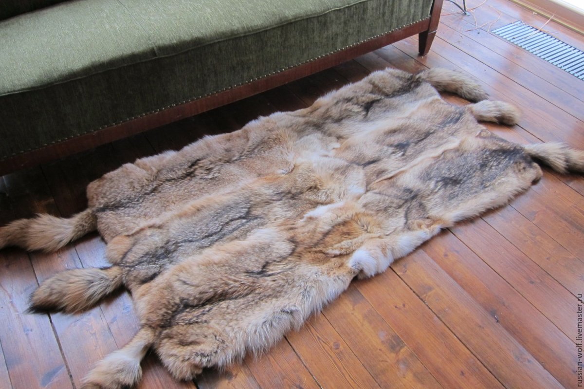 Ковёр из волчьих шкур