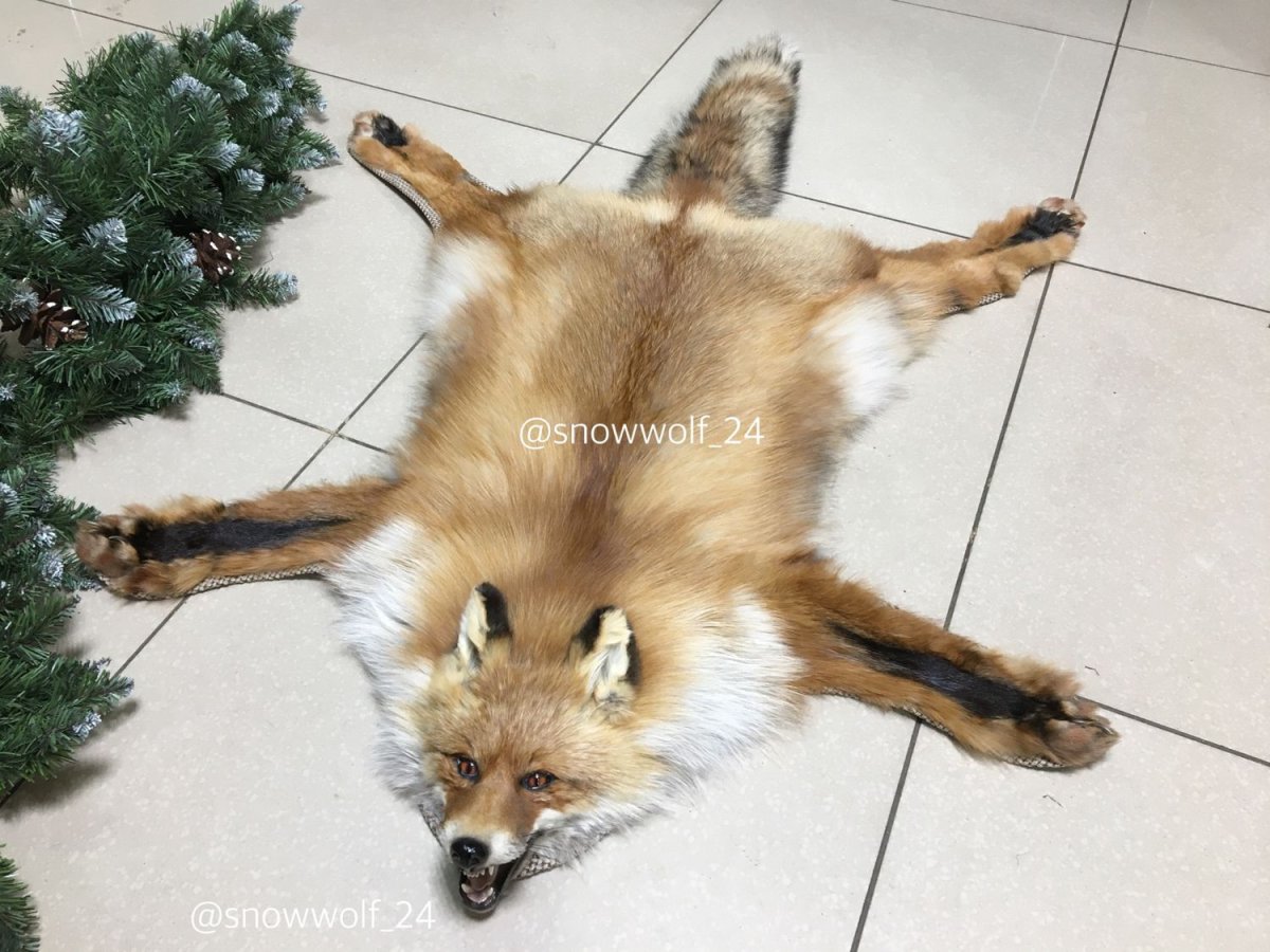 Ковер из волка с головой