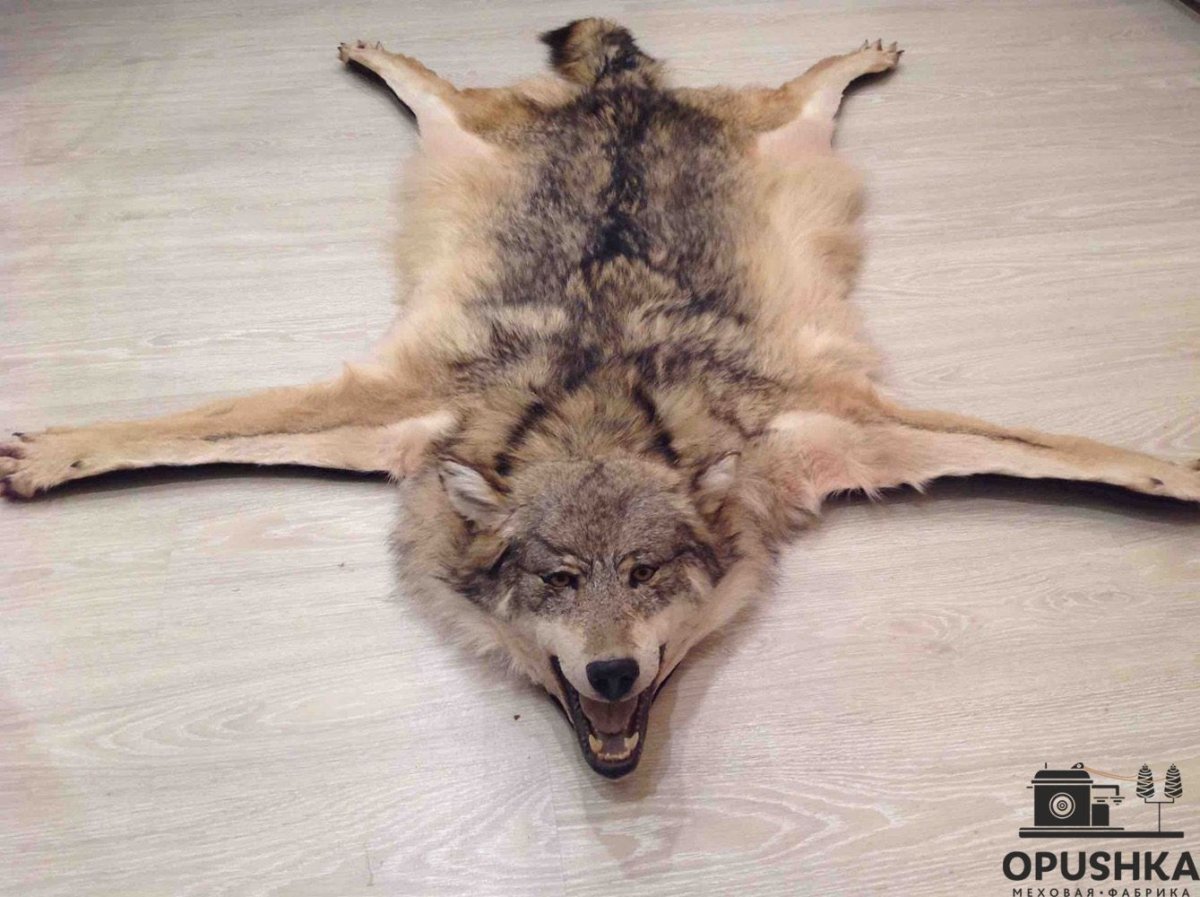 Ковер из шкур лисицы