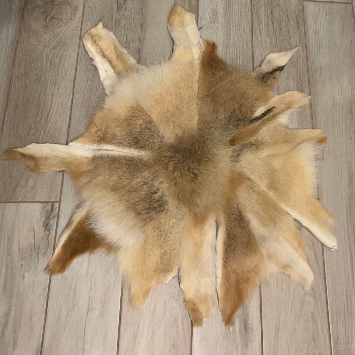 Ковер Волчья шкура 160х230