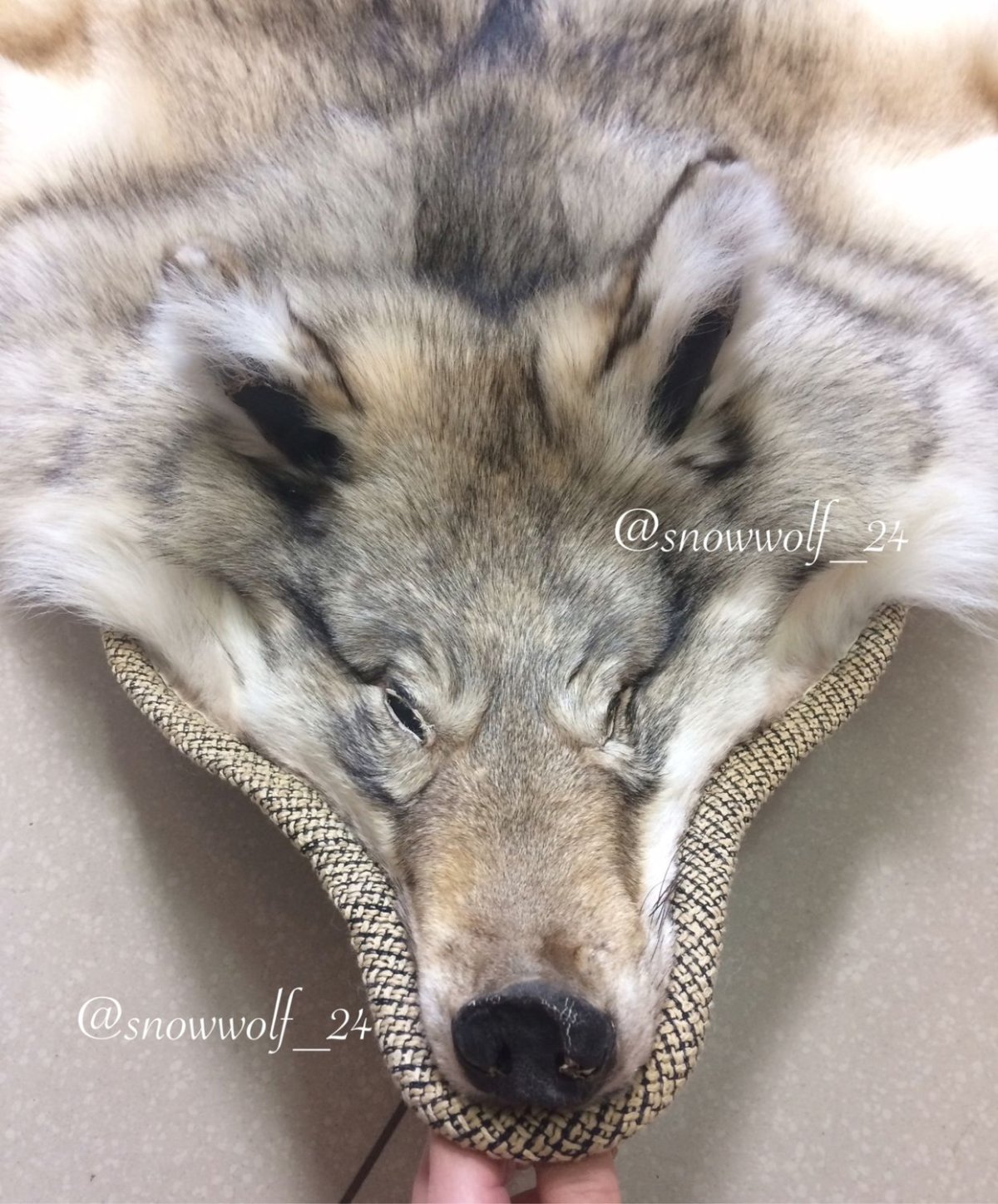 Ковер из медвежьей шкуры