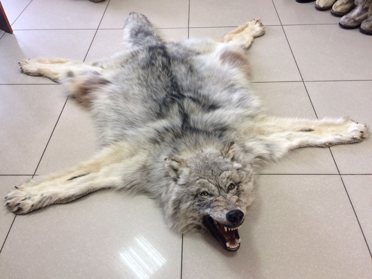 Ковер из шкуры волка