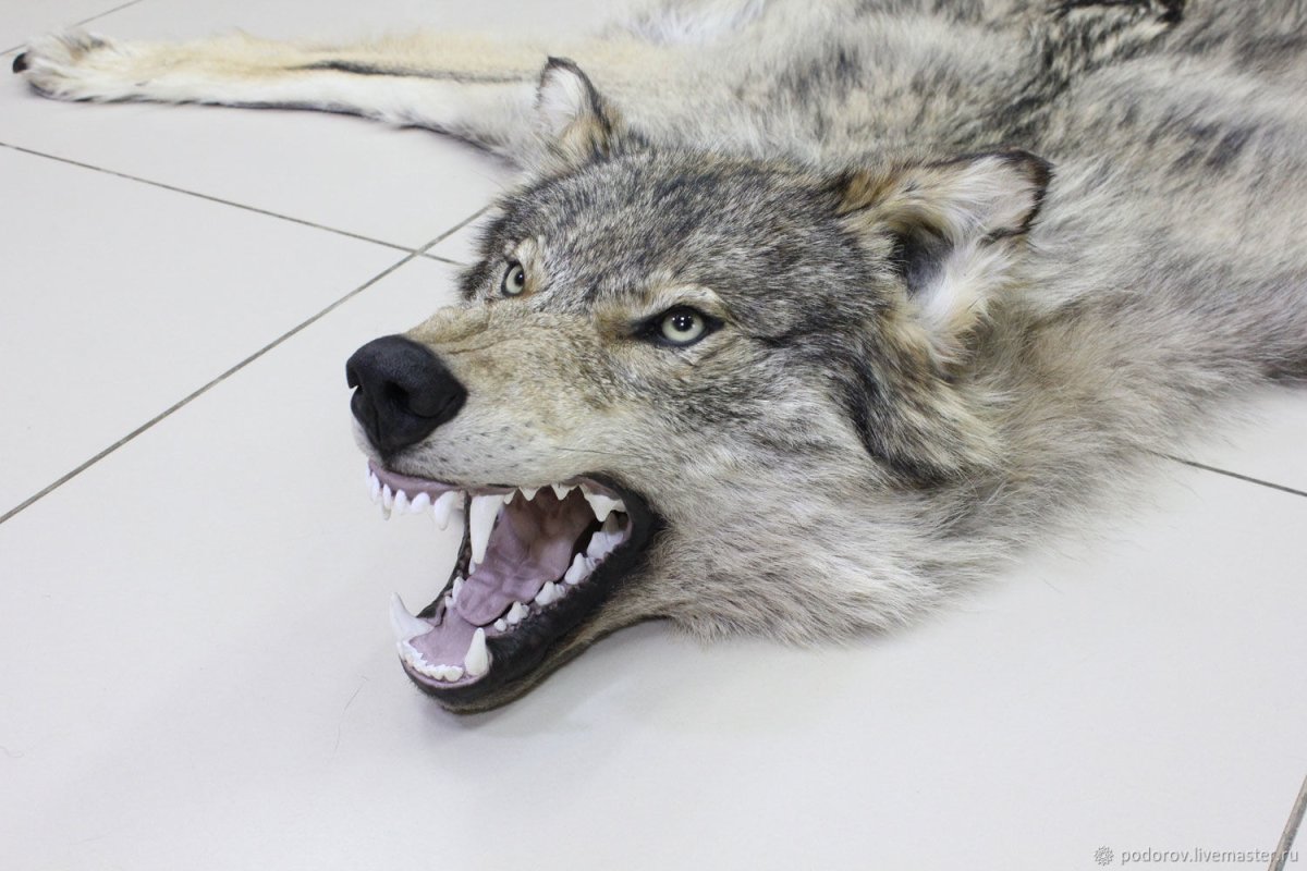 Шкура на подкладку