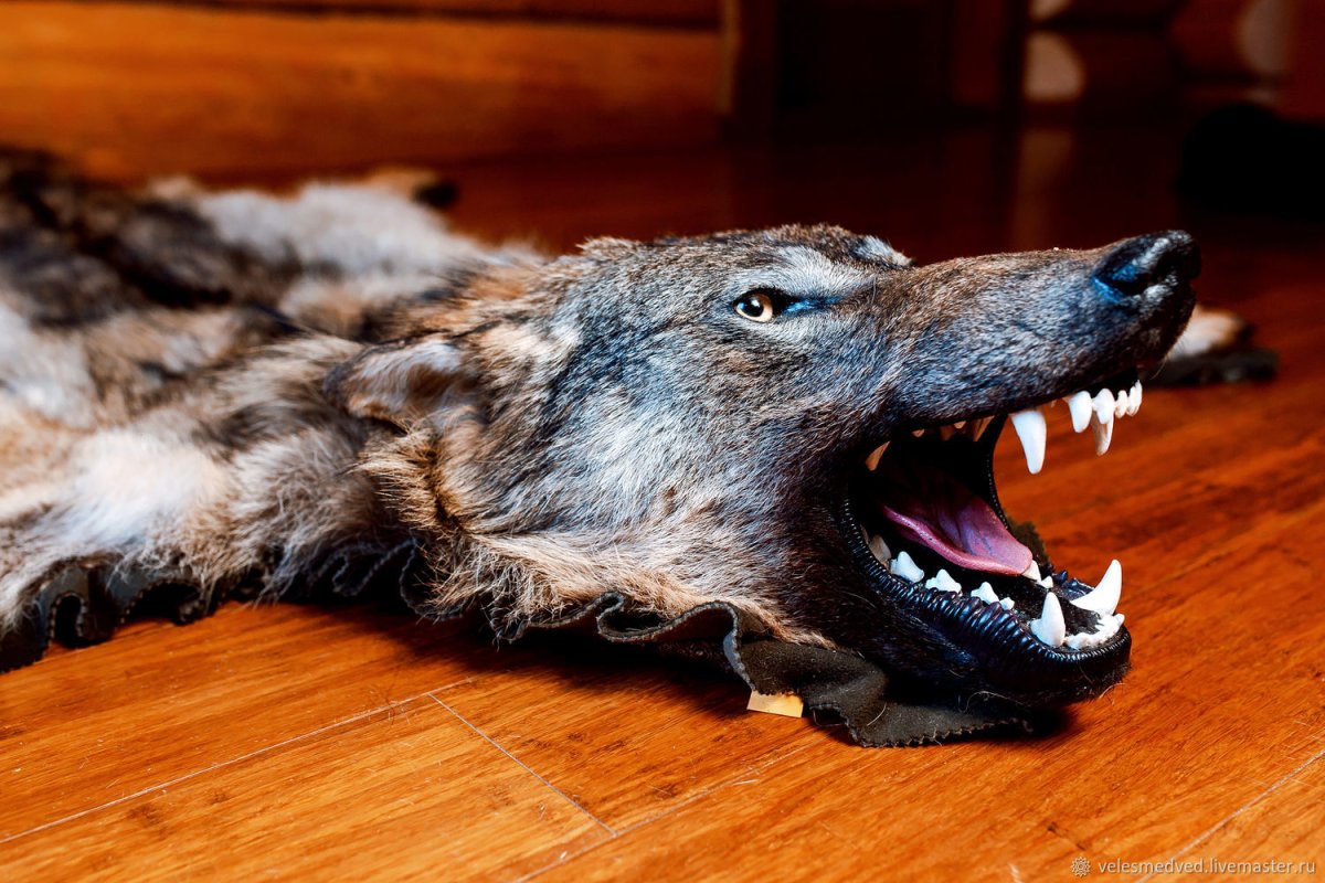 Ковер шкура тигра