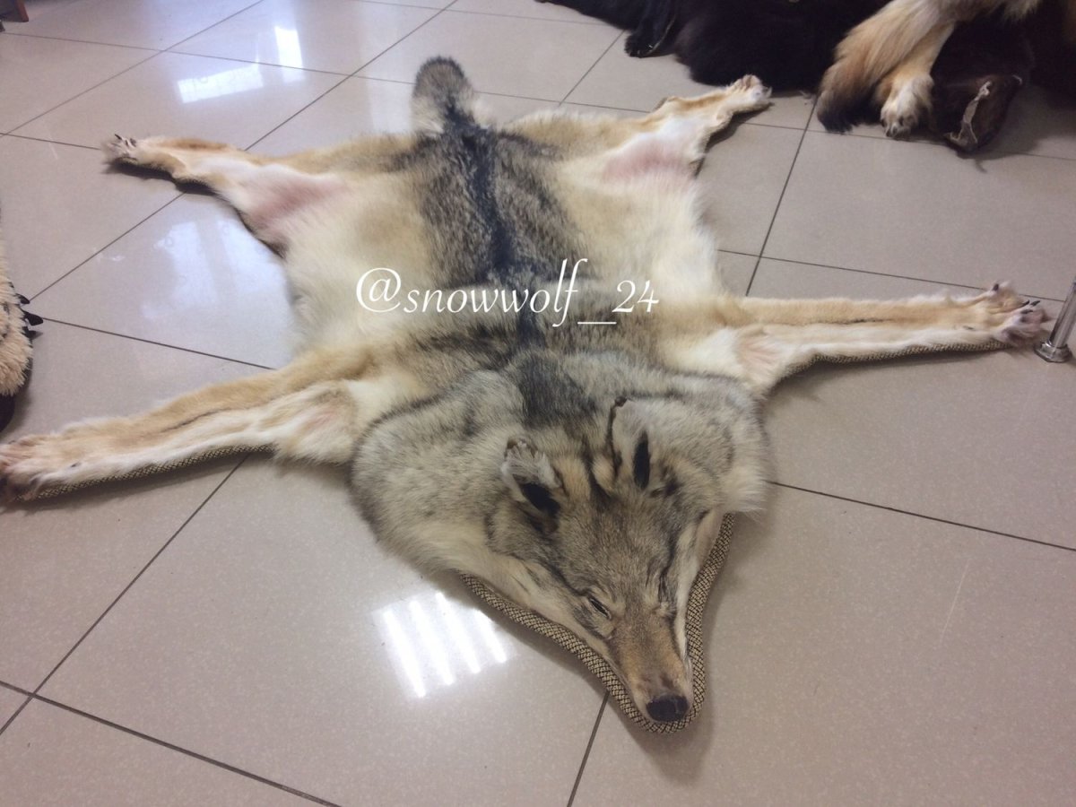 Коврик из меха волка