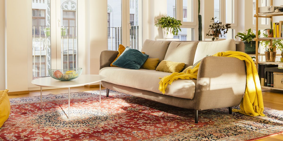 Living Room with Carpet