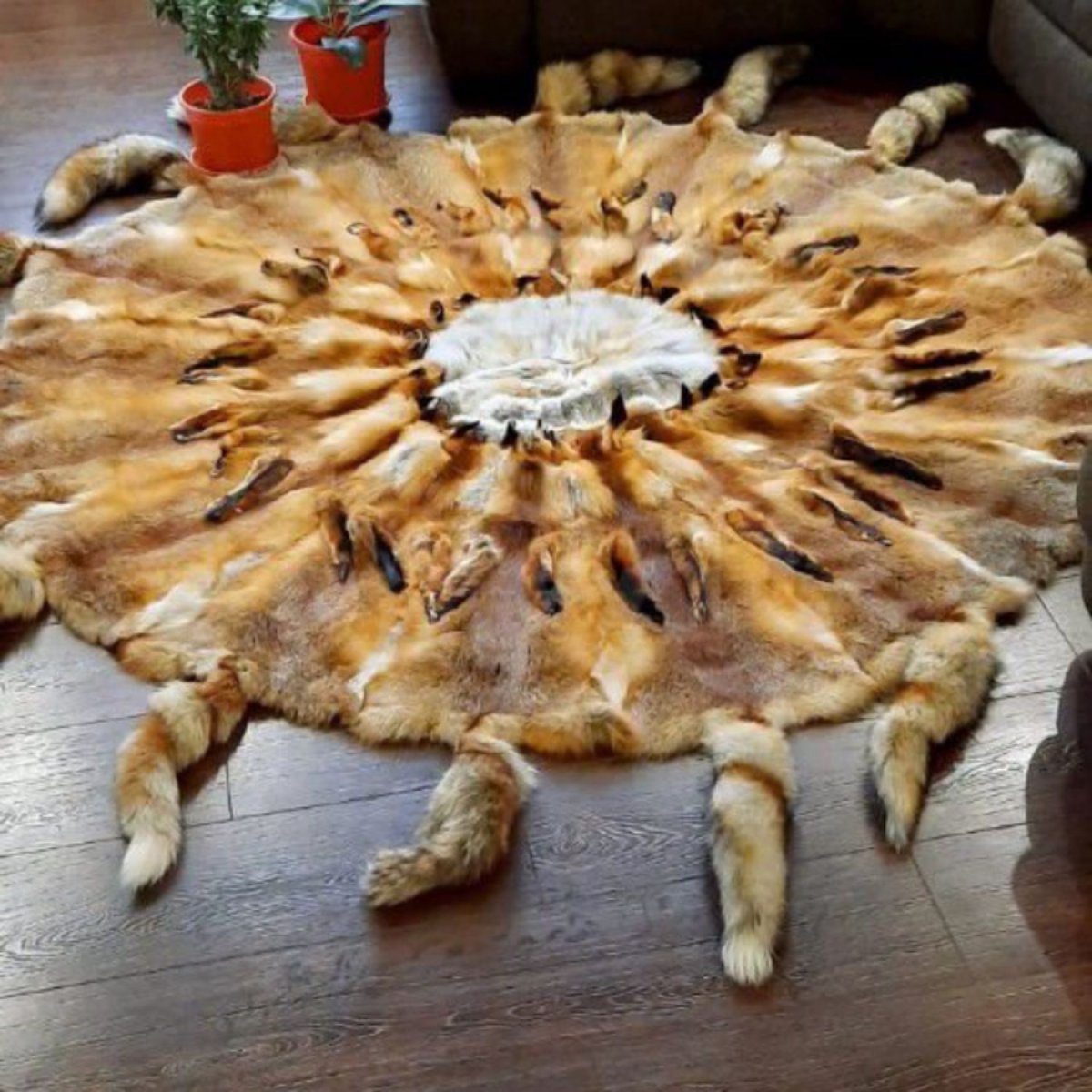 Ковёр из шкур Лис