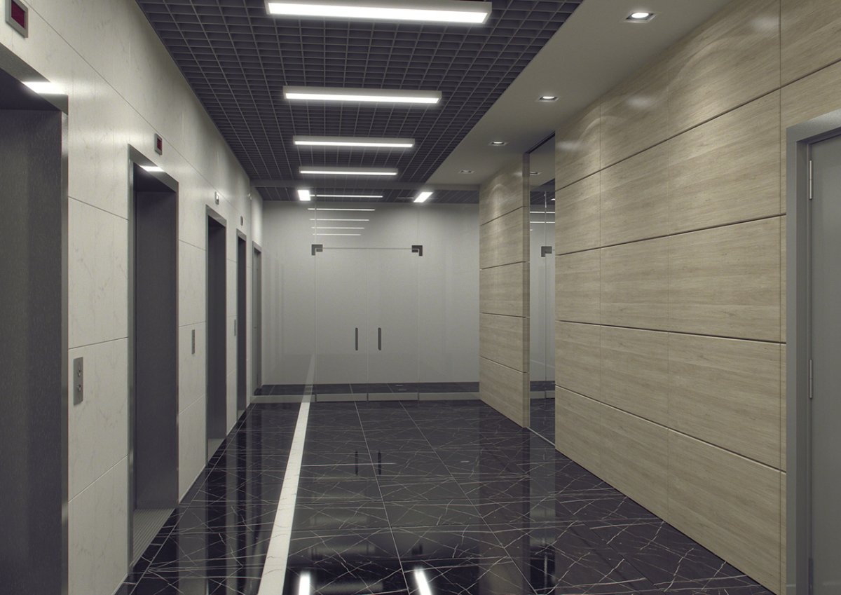 Холл БЦ Гвардейский лифты Холл