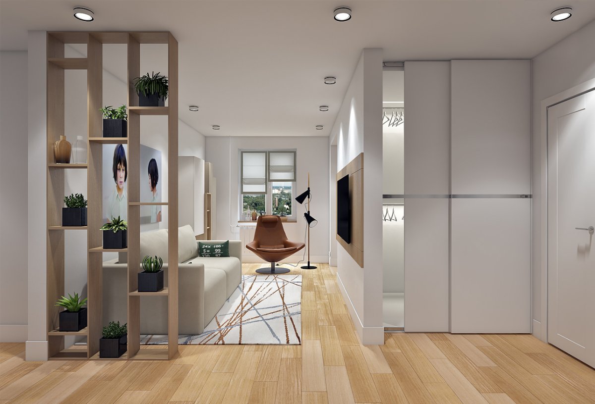 Зонирование прихожей и гостиной