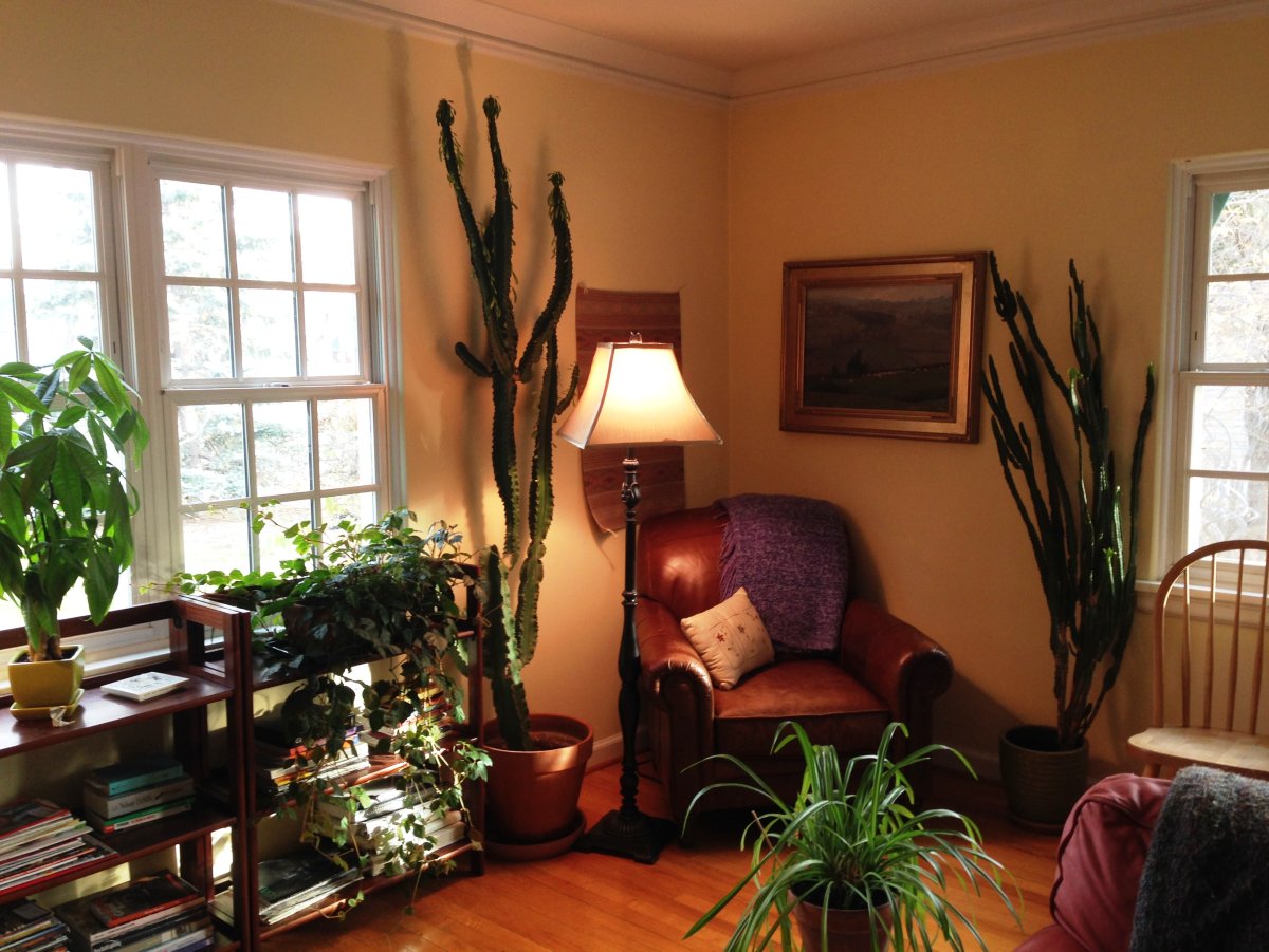 Кабинет в китайском стиле