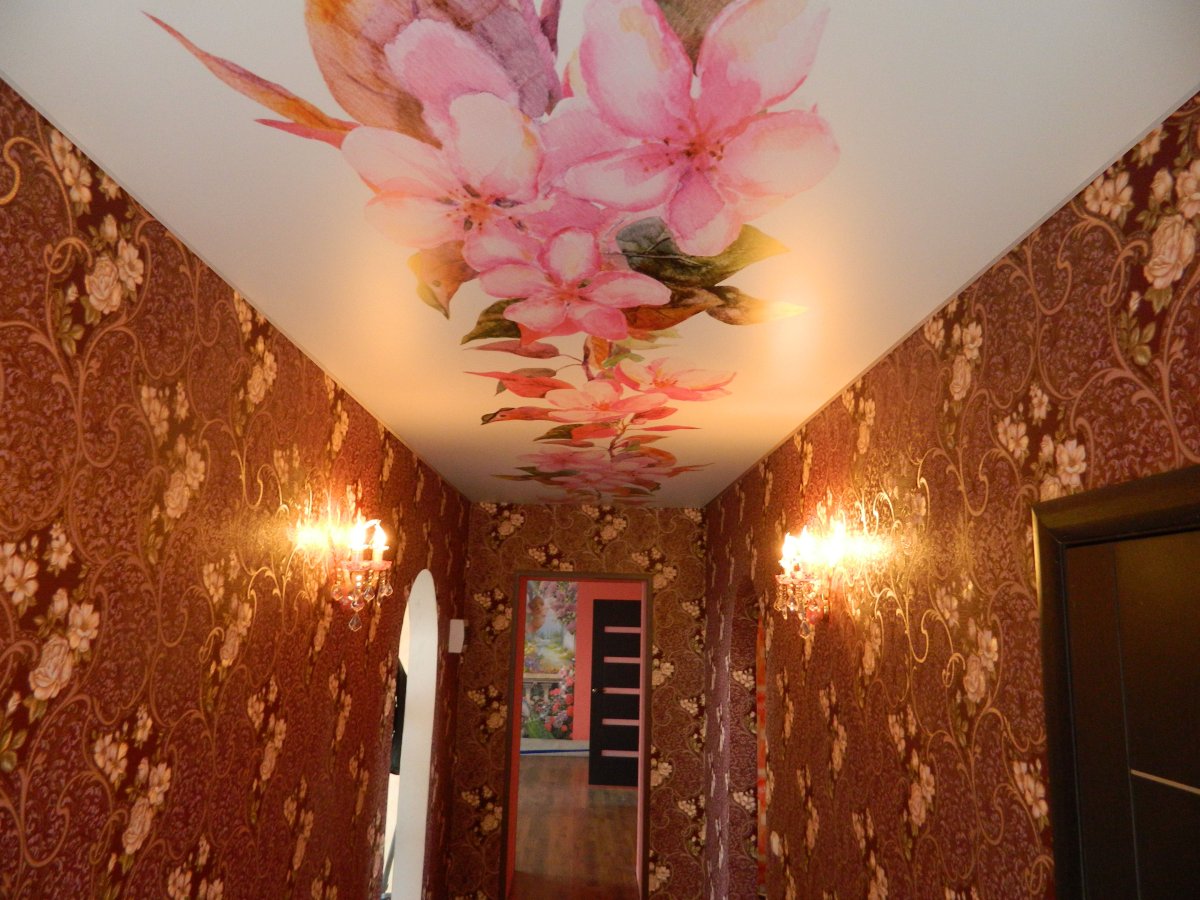 Потолки с фотопечатью в прихожую