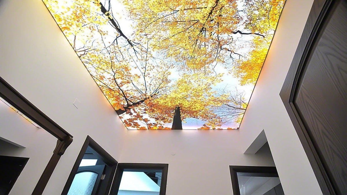 Яркий подвесной потолок