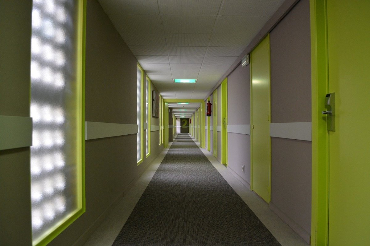 Школьный коридор зелёная стена