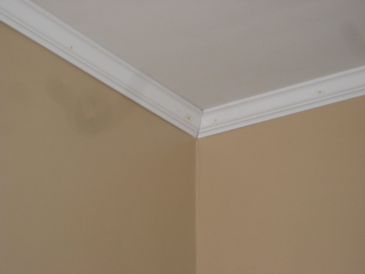 C353 карниз Orac Decor Luxxus