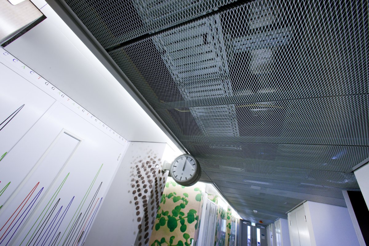 Потолочные панели из металла