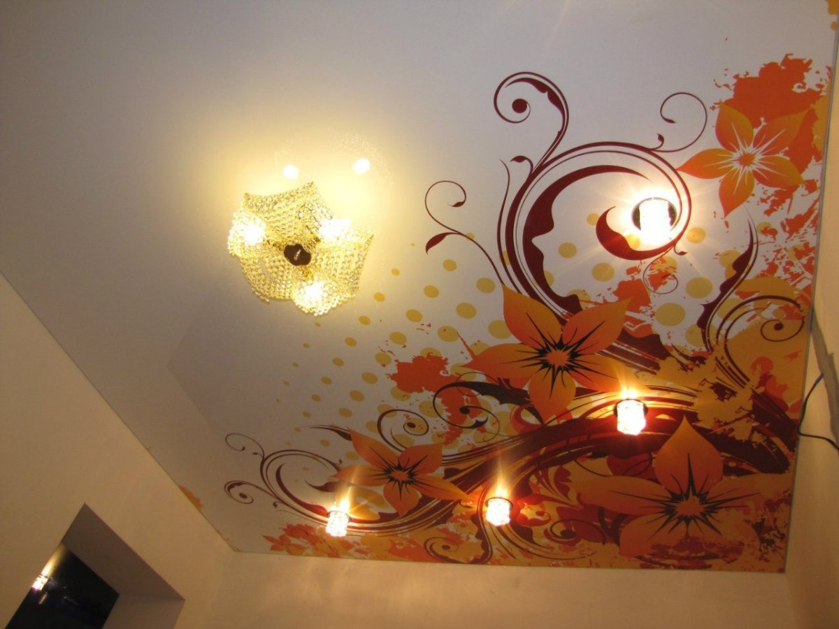 Фотопечать на натяжных потолках в коридоре