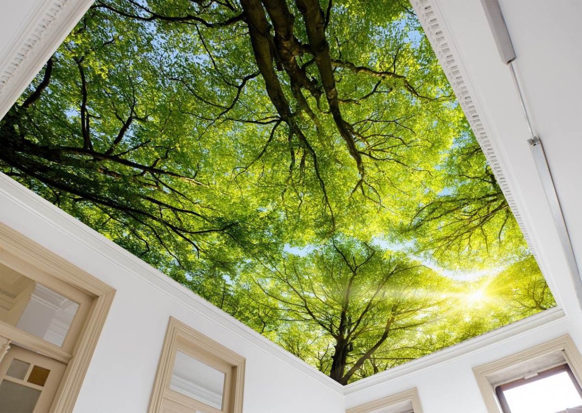 Красивые потолки