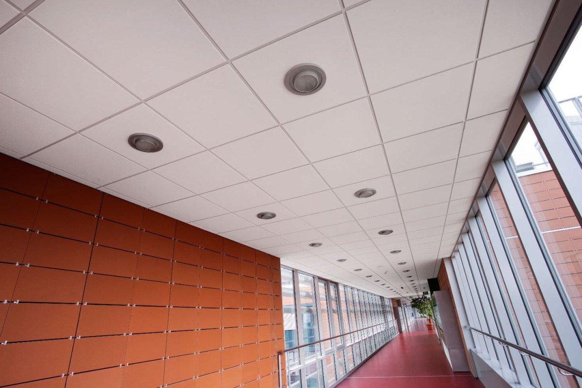 Армстронг Dune Supreme