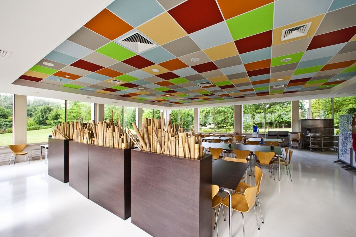 Армстронг дизайнерский потолок разноцветный