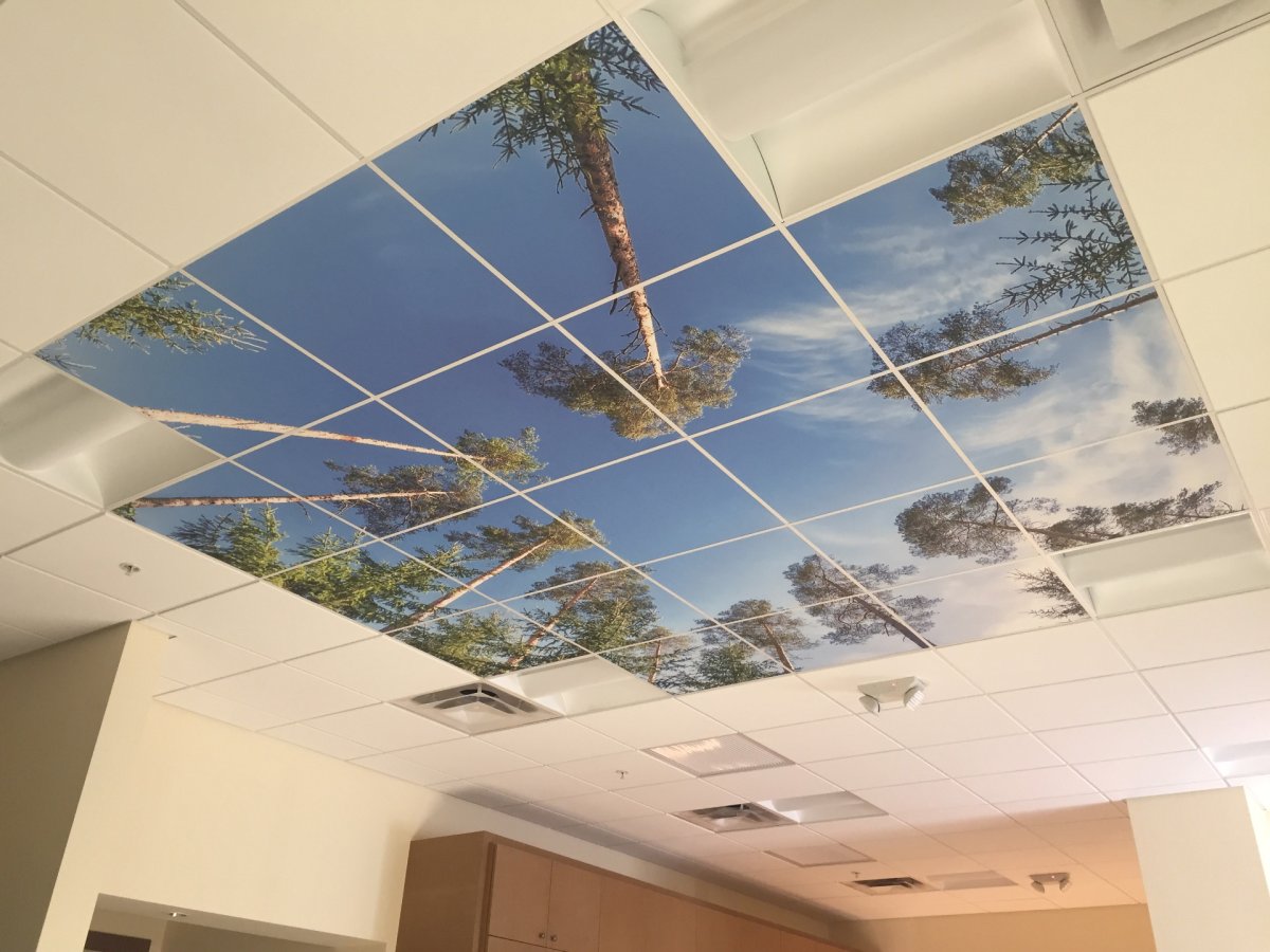 Потолочные покрытия