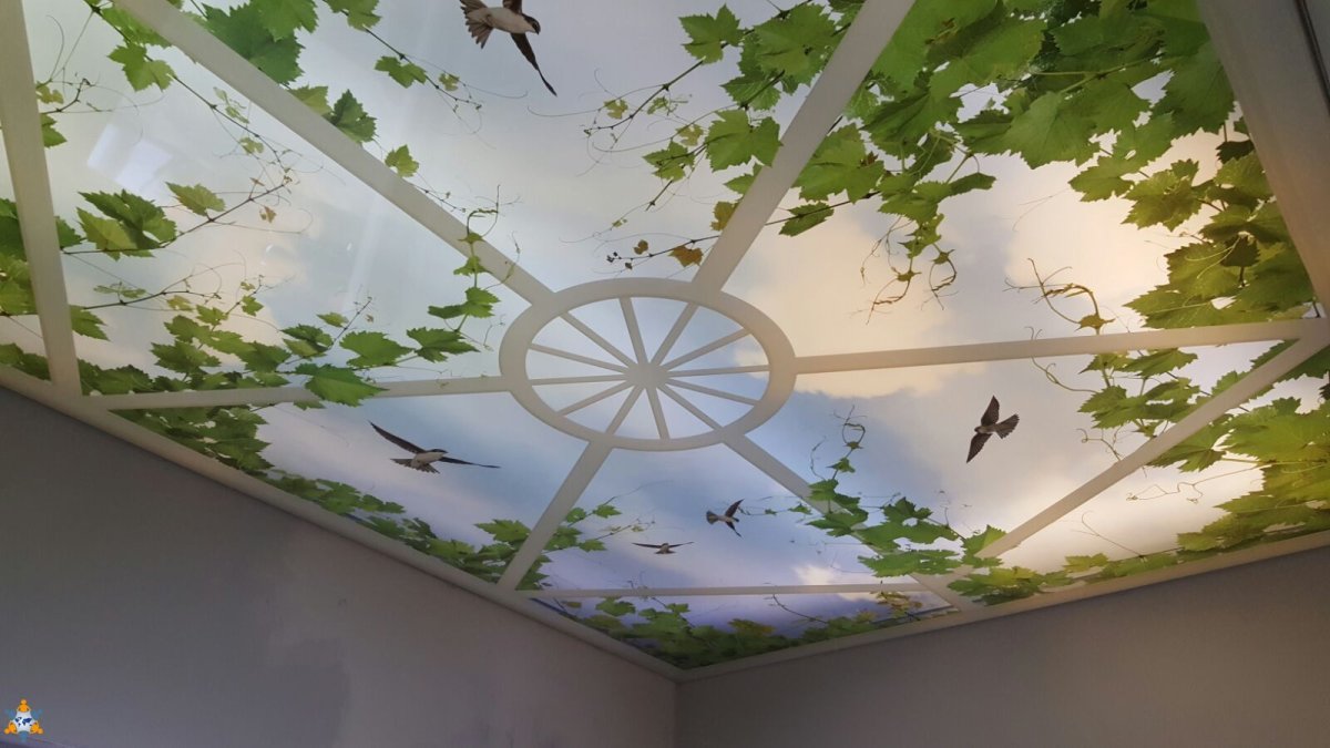 Натяжные потолки с фотопечатью для зала