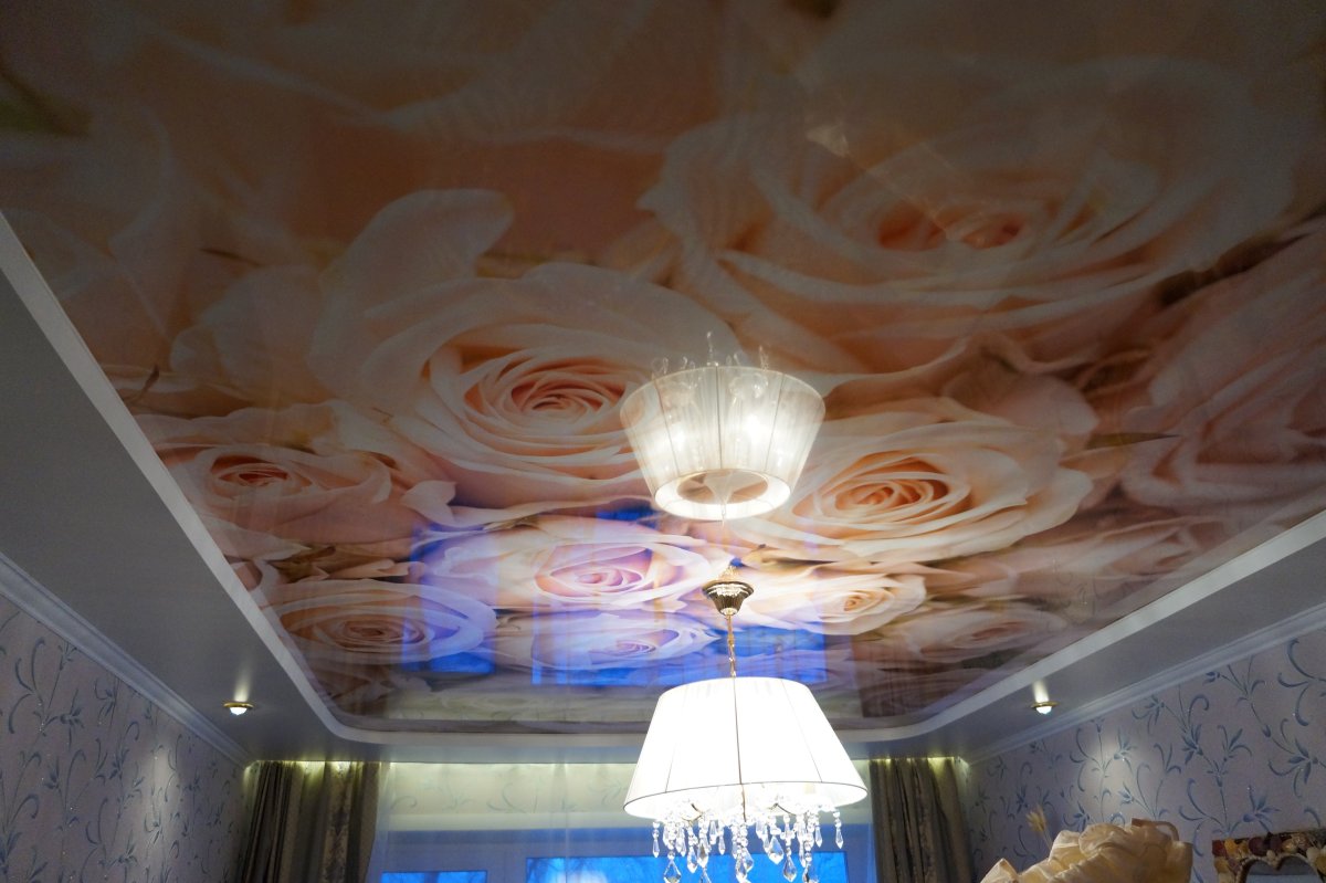 Потолок с фотопечатью в зал