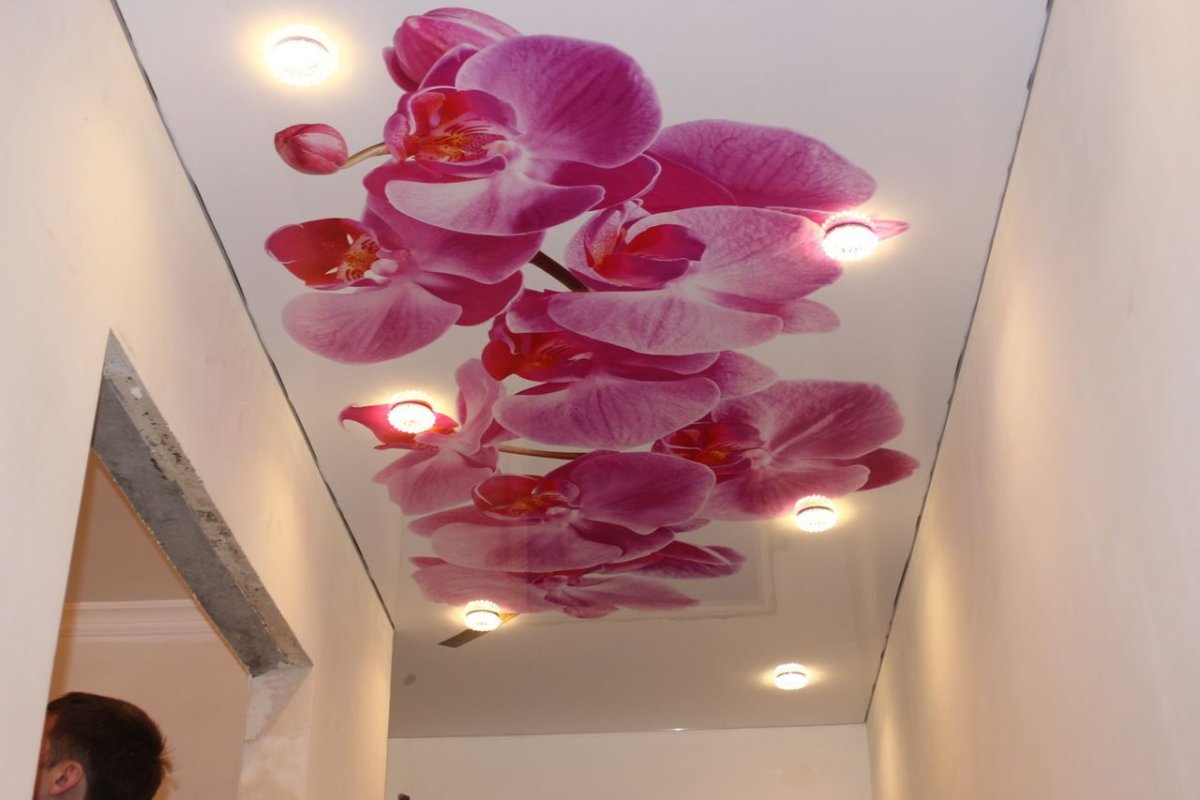 Натяжные потолки с фотопечатью