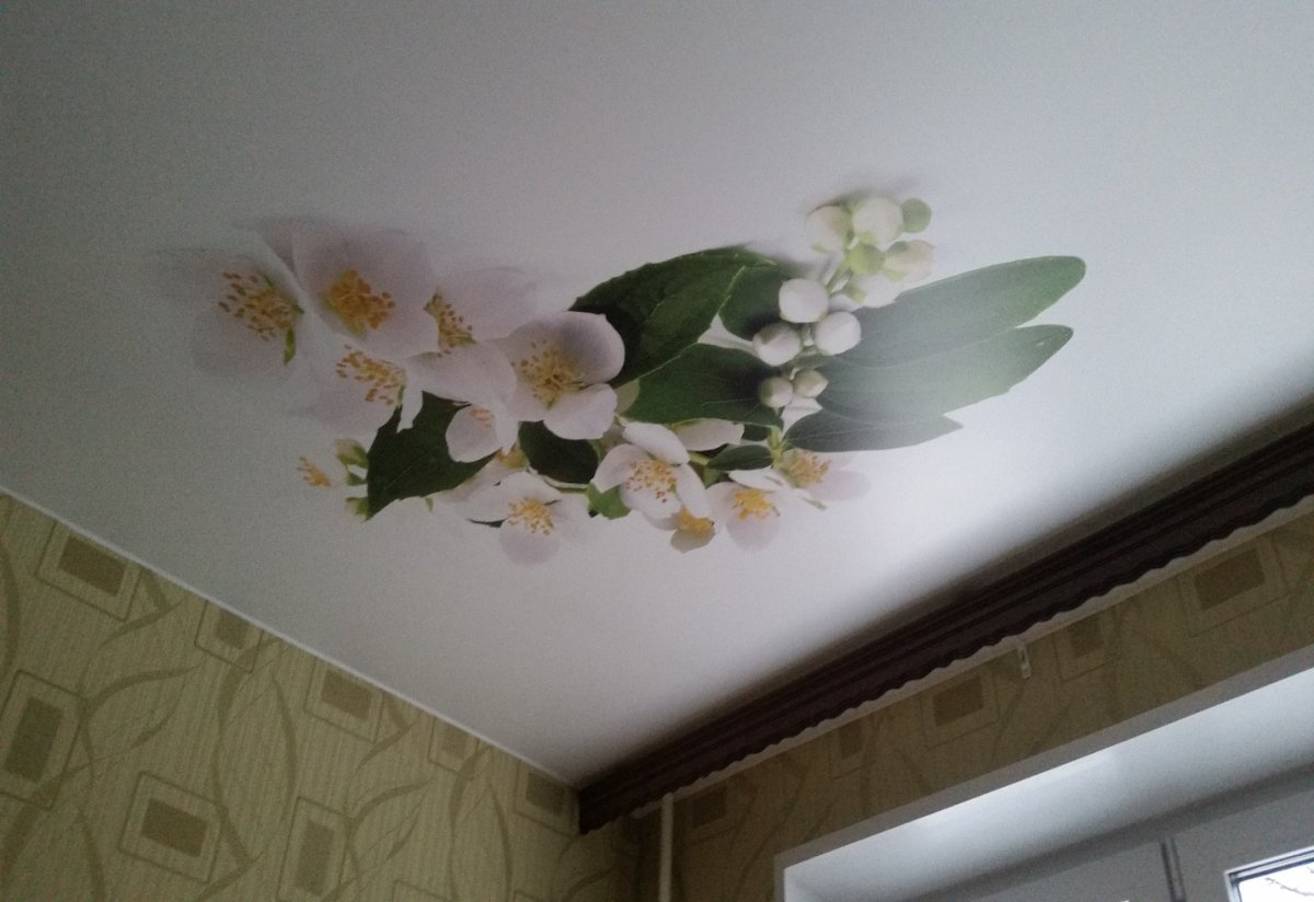 Ако потолок Омск