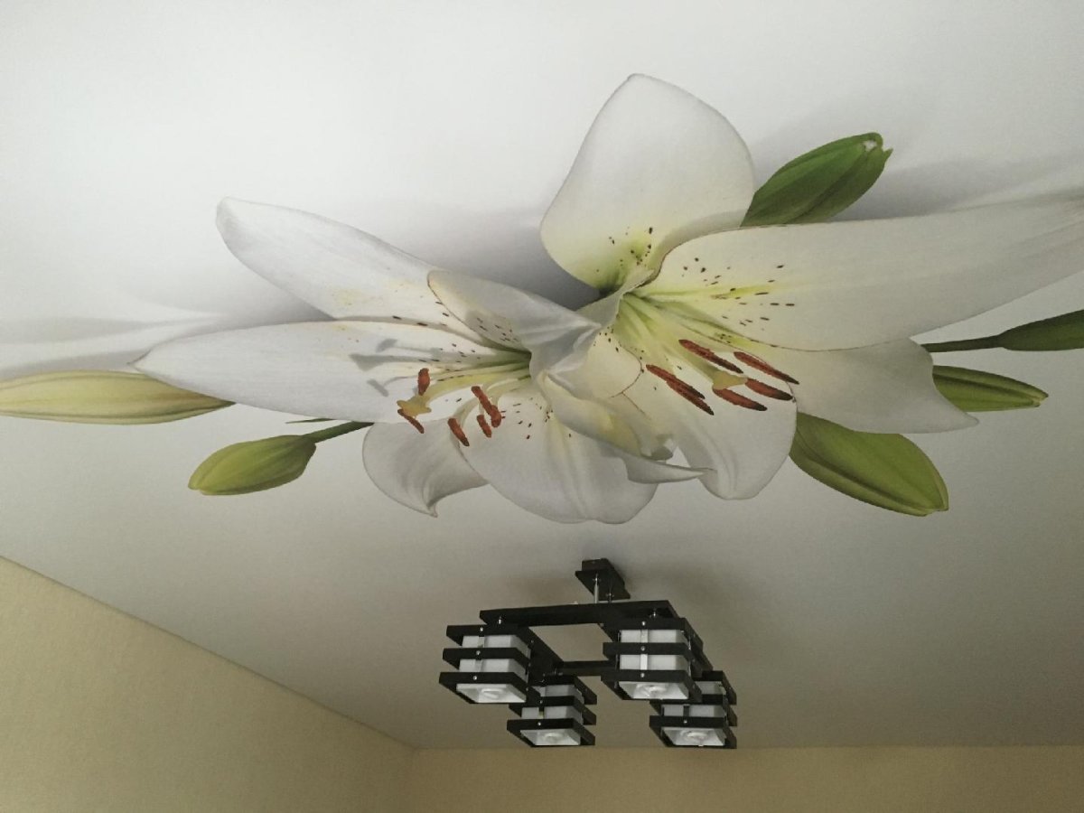 Натяжные потолки с фото печятью