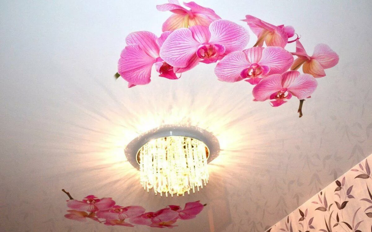 Гостиная в зеленых тонах