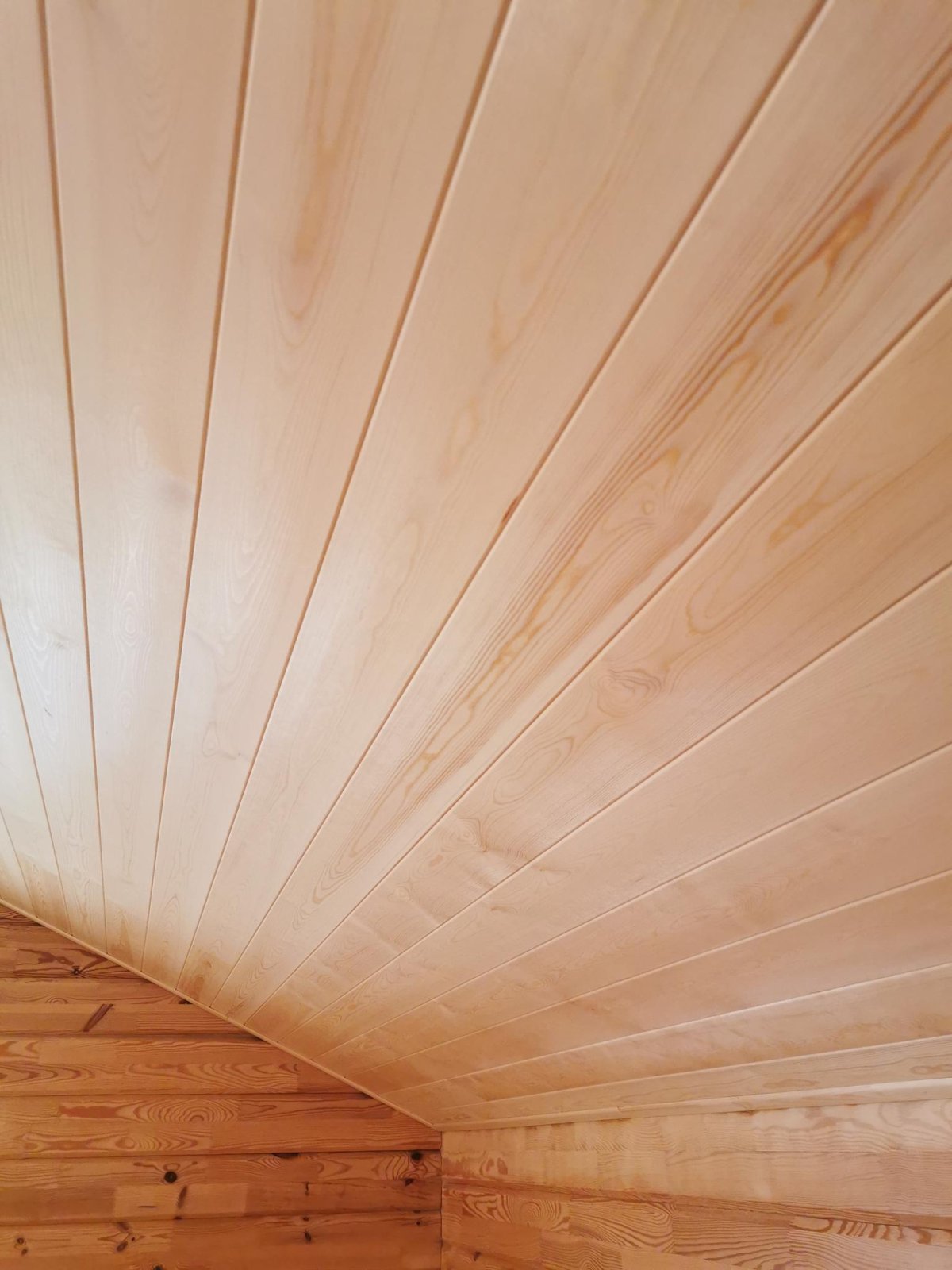 Вагонка штиль лиственница на стене