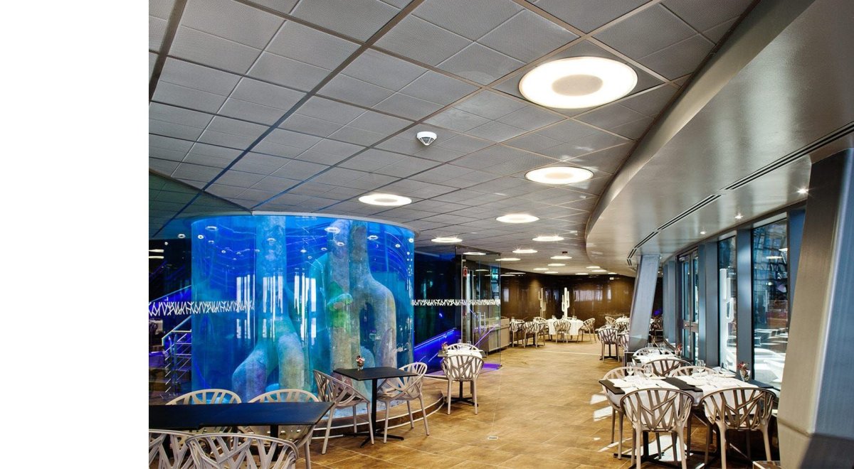 Потолок в кафе и ресторанах