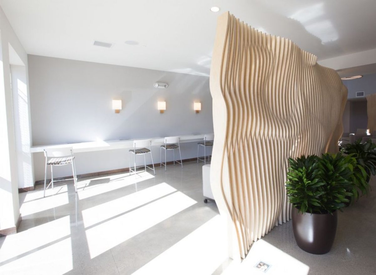 Параметрический потолок