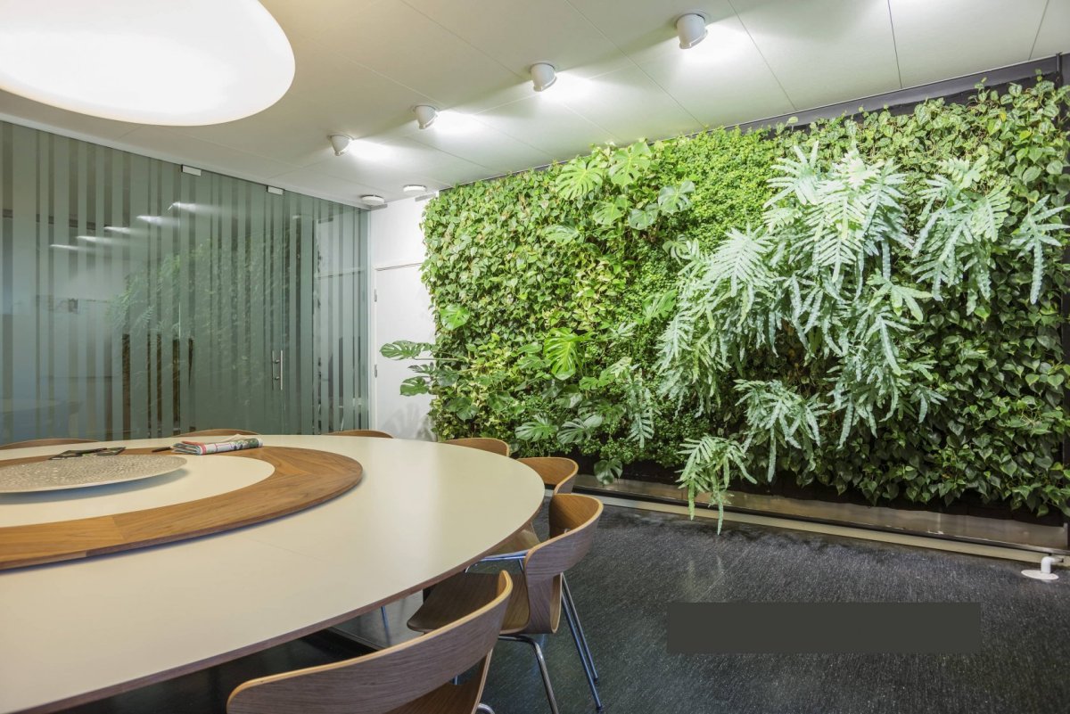 Фитостена Лаванда