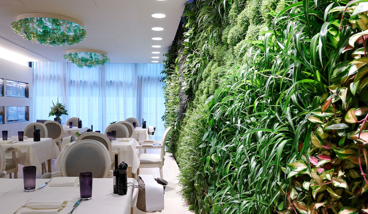 Озеленение потолка