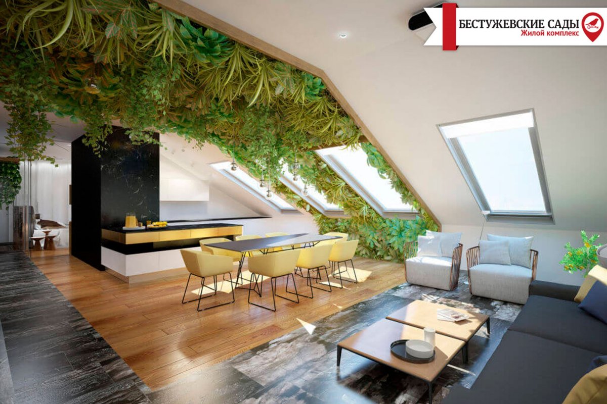 Хлорофитум хохлатый для фитостены