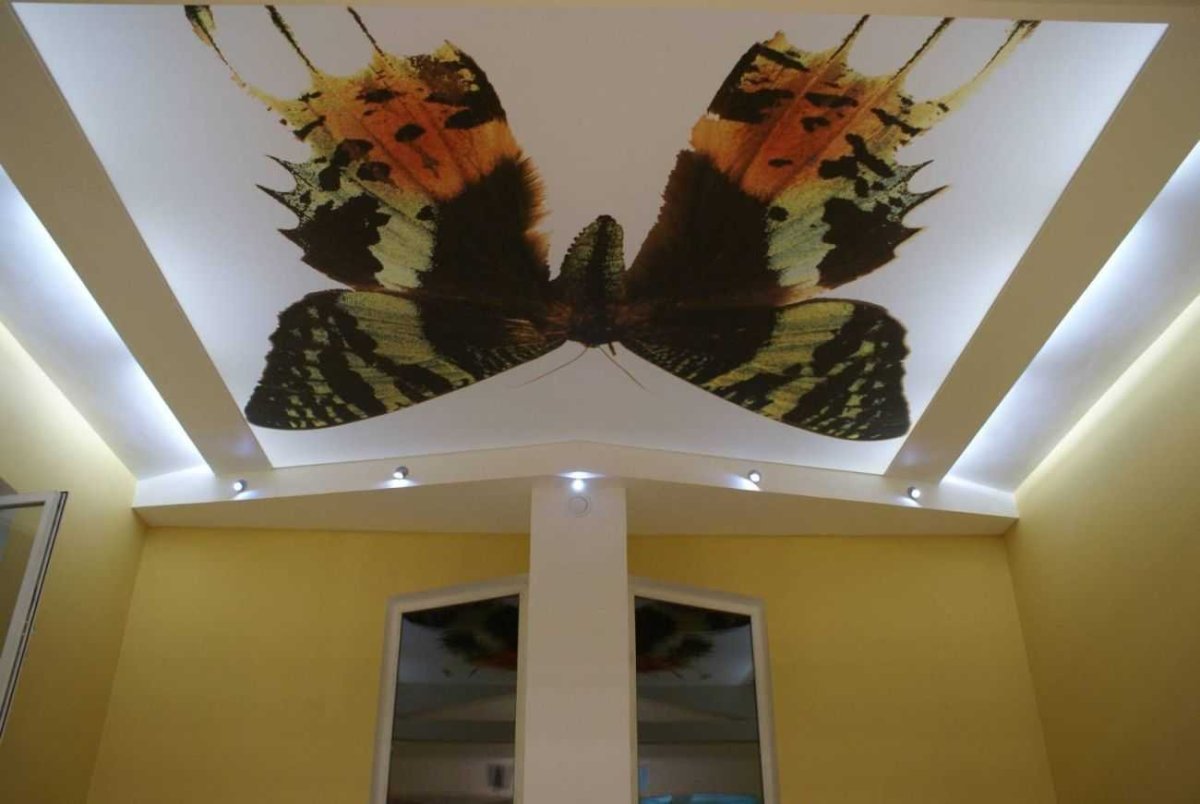 Бабочки на потолке