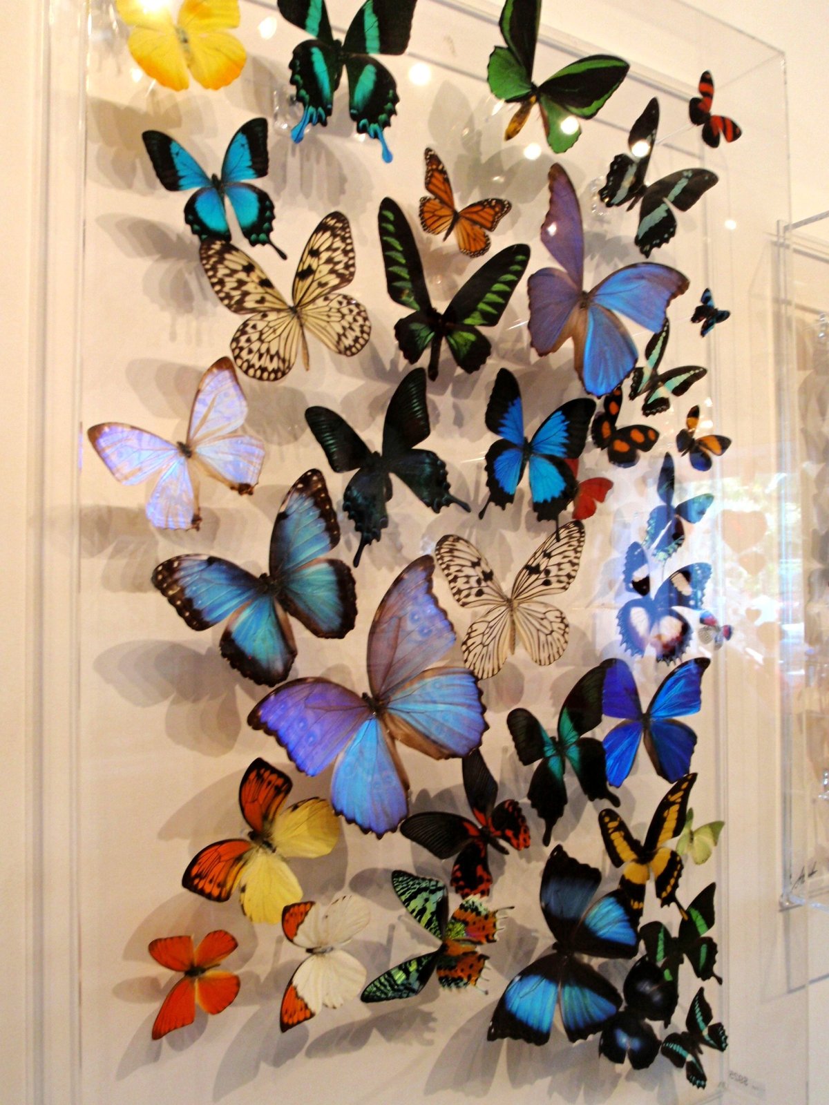 Украшение стены в коридоре