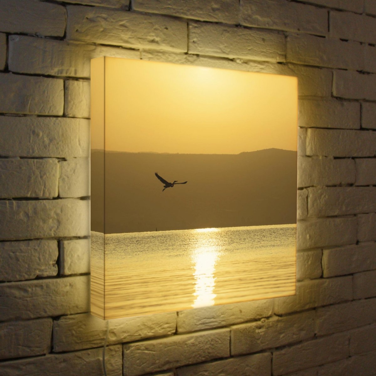 Лайтбокс МГУ 45-45-D-104