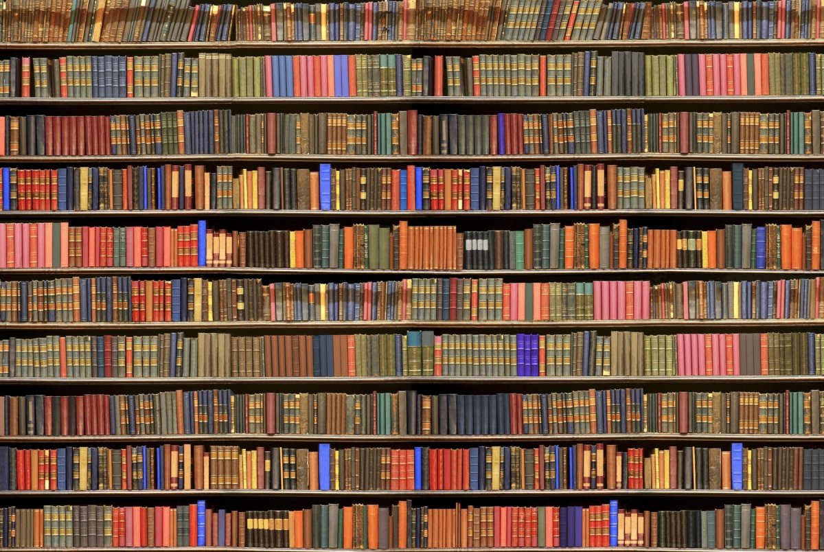 Комната с книжными полками