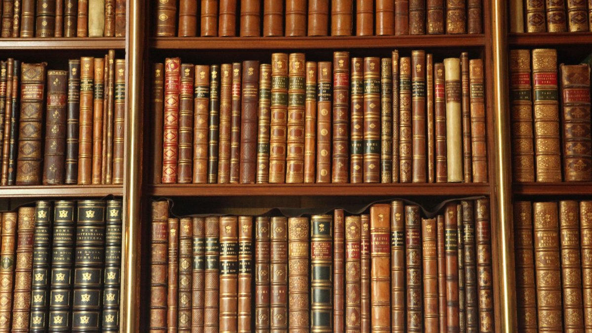 Библиотечные полки