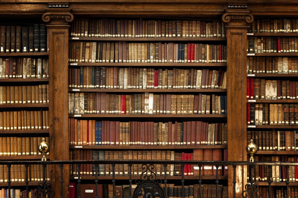 Виртуальный фон библиотека