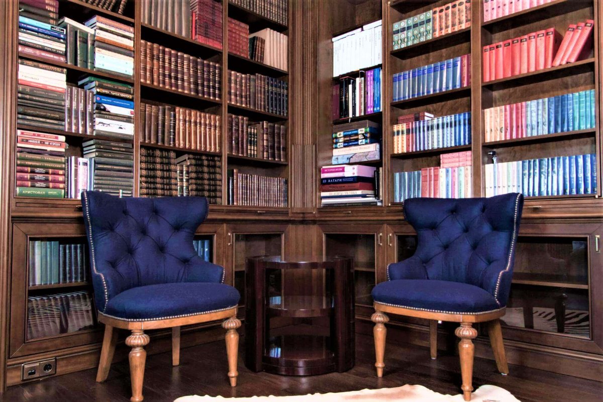 Комната с книжными полками арт