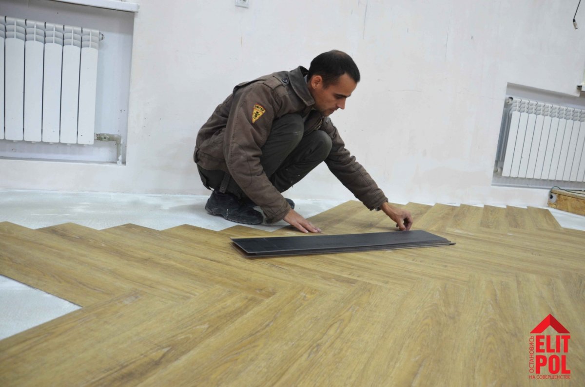 КУКЛАДКА евпруаинила елочкоц