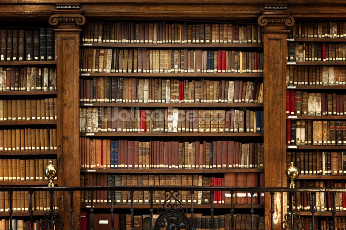 Полка книжная