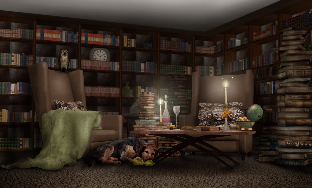 Много книг на полках