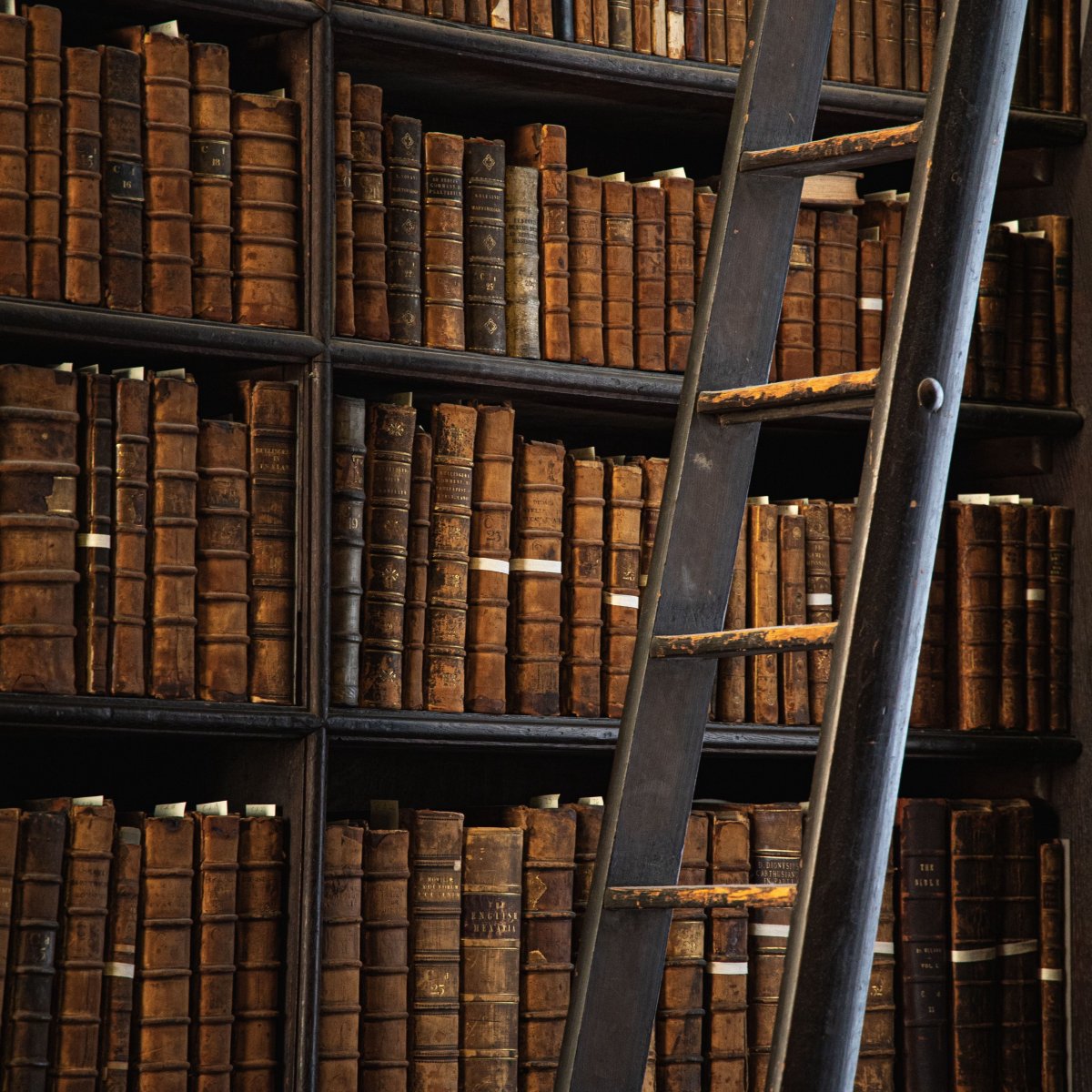 Книжная полка светлая