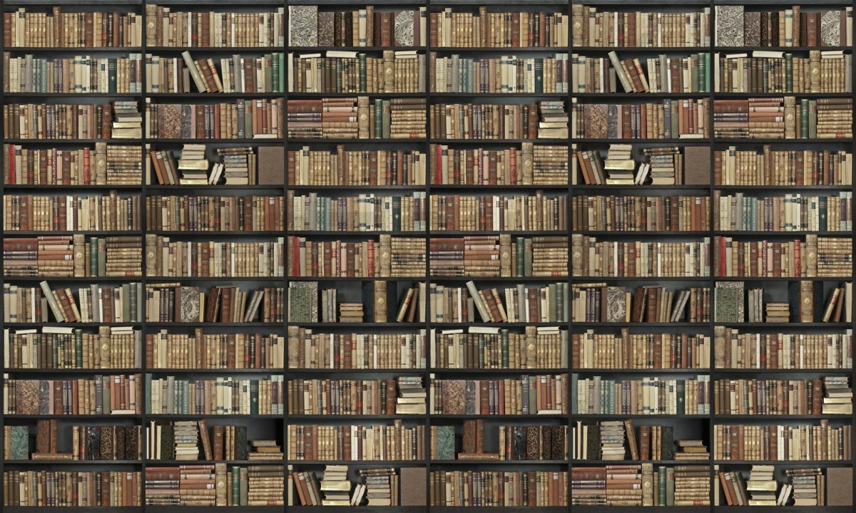 Фотообои с книжными полками